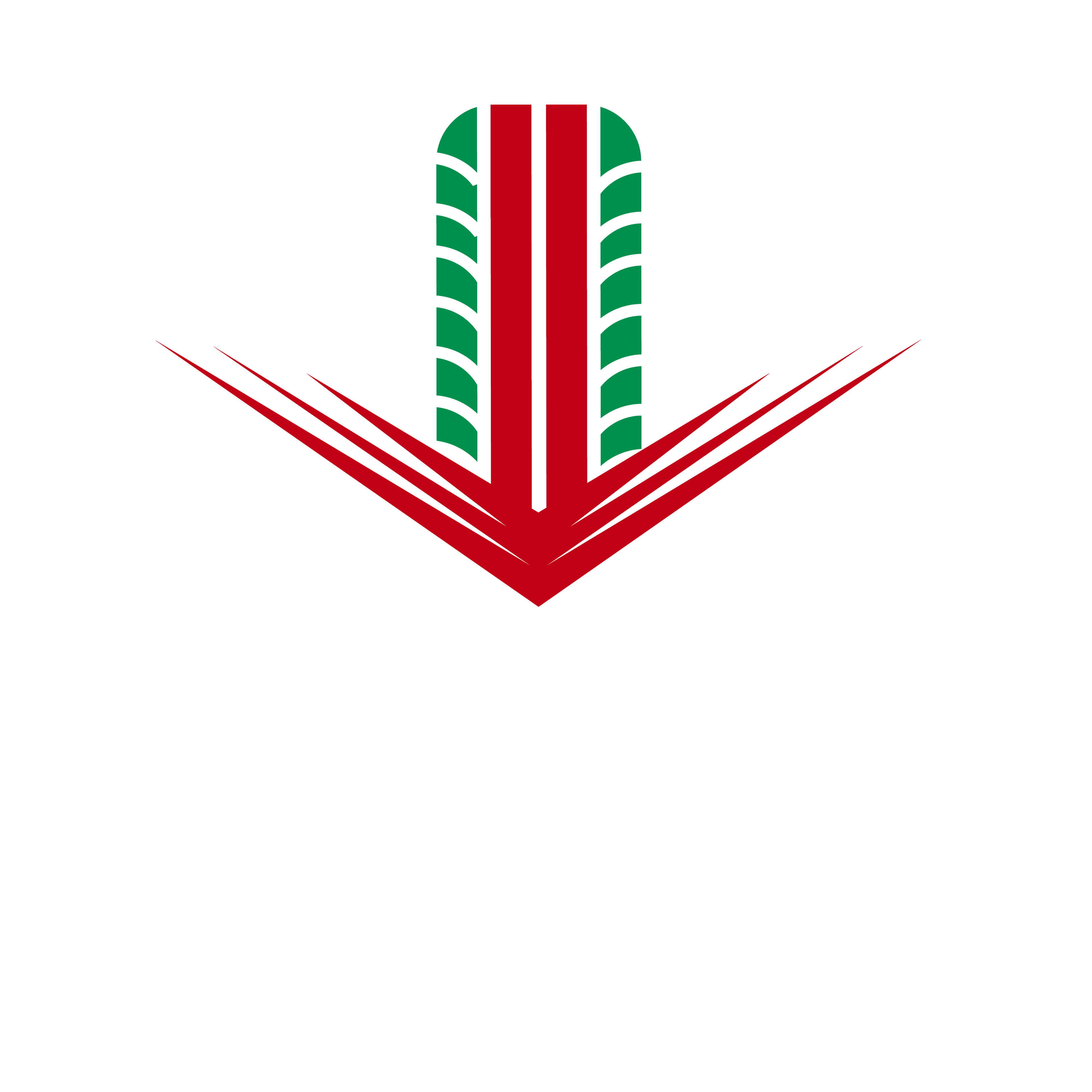 Luque Tires logo